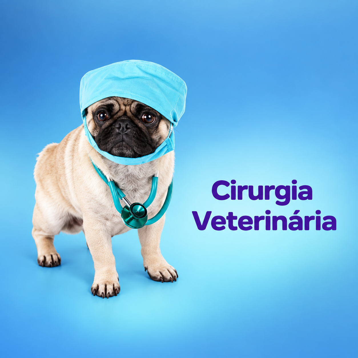 Serviço de Cirurgia veterinária