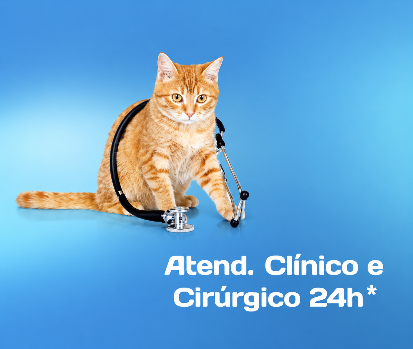 Serviço de Clínica veterinária 24h