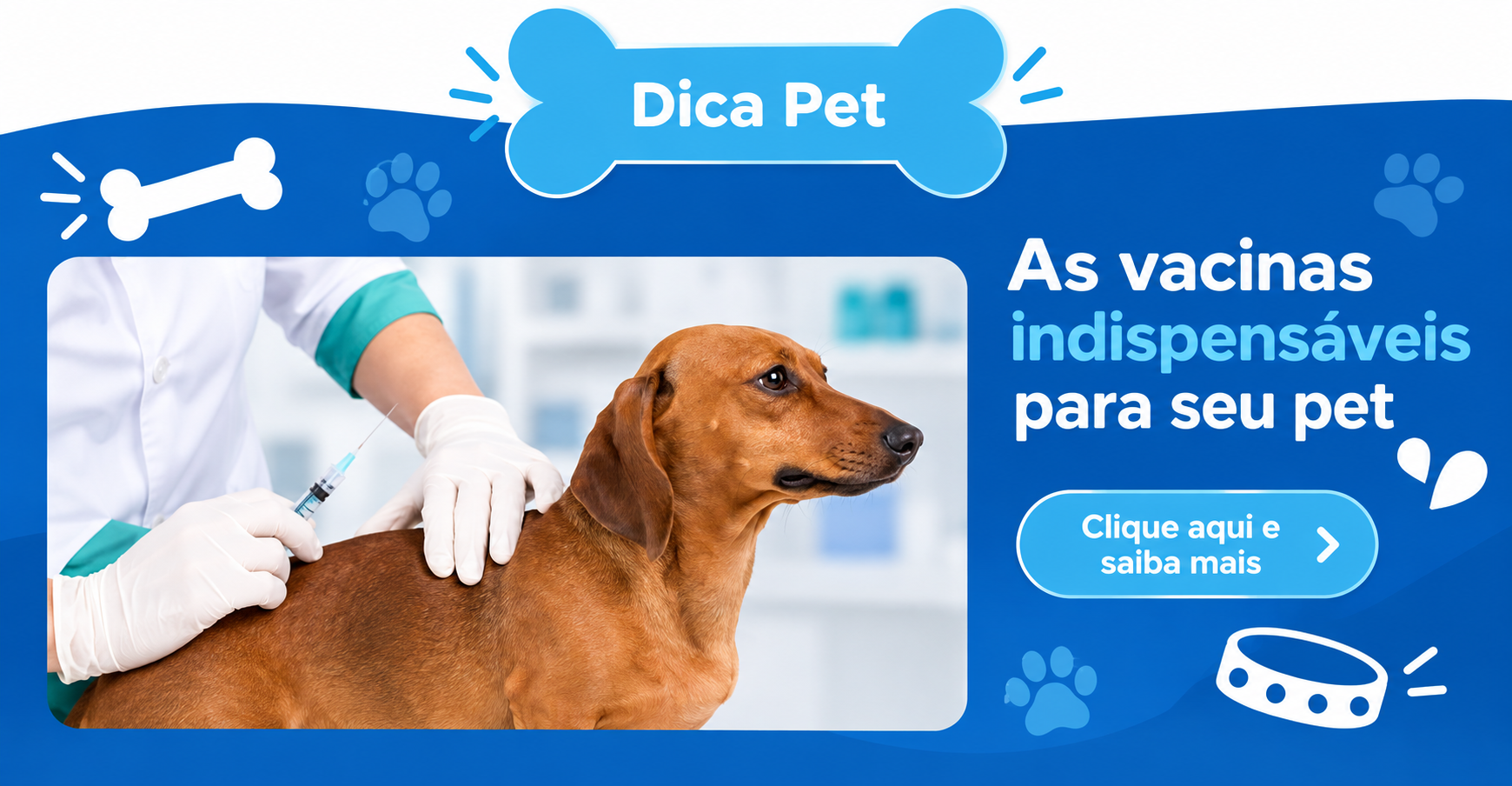 Dica Pet: as vacinas são indispensáveis para seu pet