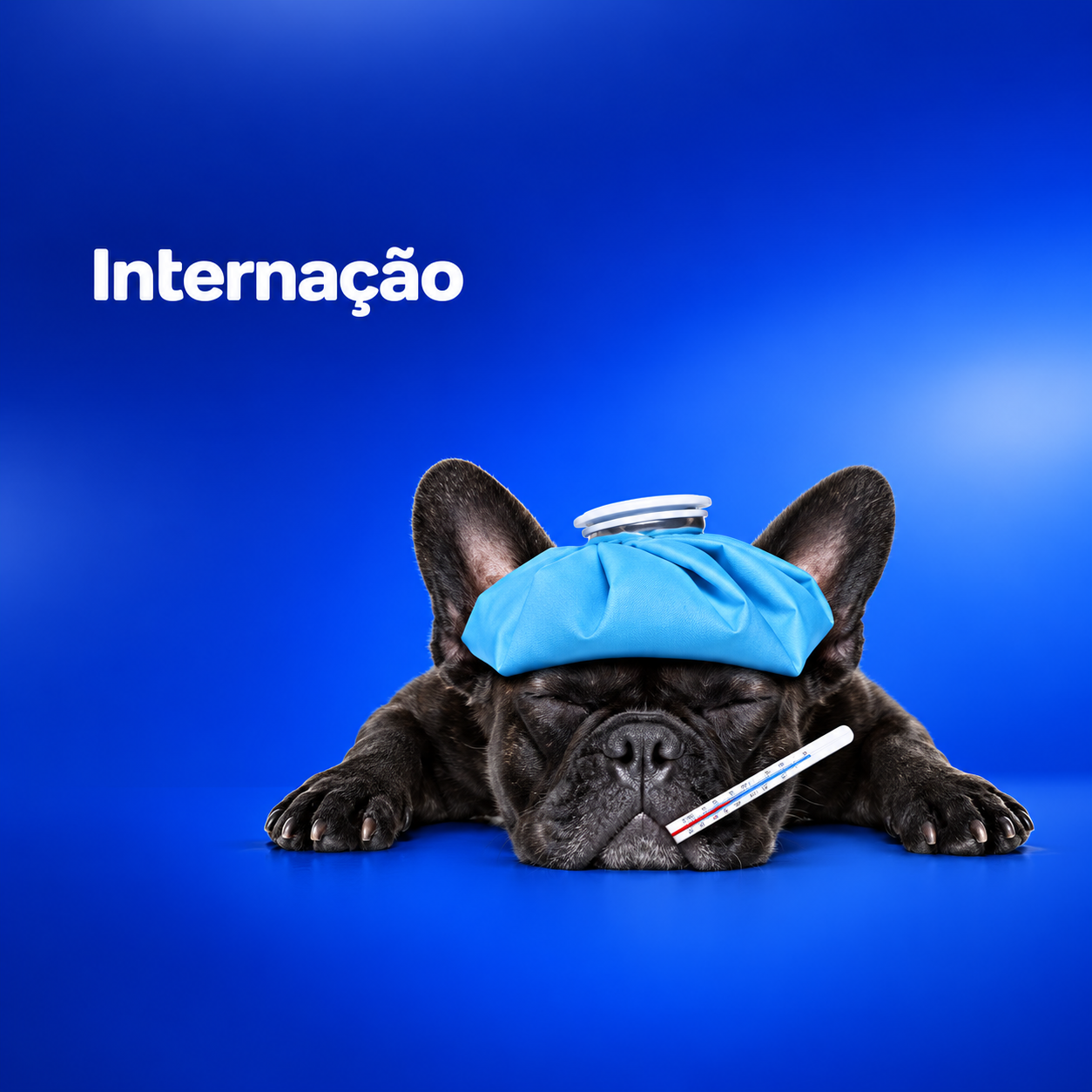 Serviço de Internação